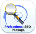 AoG Design Professional SEO Package